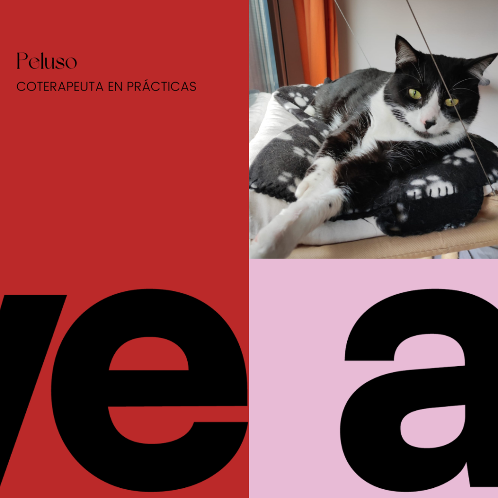 Peluso, coterapeuta en we are