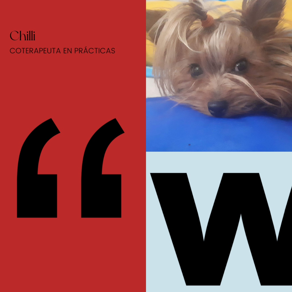chilli coterapeuta en prácticas en we are